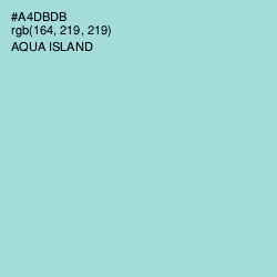 #A4DBDB - Aqua Island Color Image